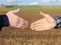 Dwie dłonie, jedna czysta, druga ubrudzona ziemią, zbliżają się do uścisku. To symbol porozumienia między miastem a wsią, biznesu i rolnictwa.