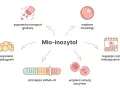 Mio-inozytol: poprawia transport glukozy, lipidogram, zmniejsza HOMA-IR, wspiera rozwój oocytów, owulację i reguluje cykl. Przeciwwskazania są rzadkie.