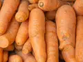 Mnóstwo pomarańczowych marchewek, bogatych w beta karoten, który jest świetny dla wzroku i skóry.