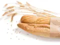 Dwa świeże bagietki, jeden zawinięty w papier, obok kłosów pszenicy i ziaren. Dla osób z alergią na gluten to widok zakazany.