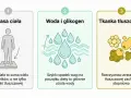 Masa ciała to suma składników, nie tylko tkanki tłuszczowej. Szybki spadek wagi to utrata wody, a rzeczywista utrata tkanki tłuszczowej w miesiąc zachodzi stopniowo.