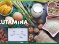 Glutamina co to? Obraz przedstawia produkty bogate w glutaminę: jajka, szparagi, mleko, orzechy, migdały, soczewicę, ryż, kukurydzę i fasolę.