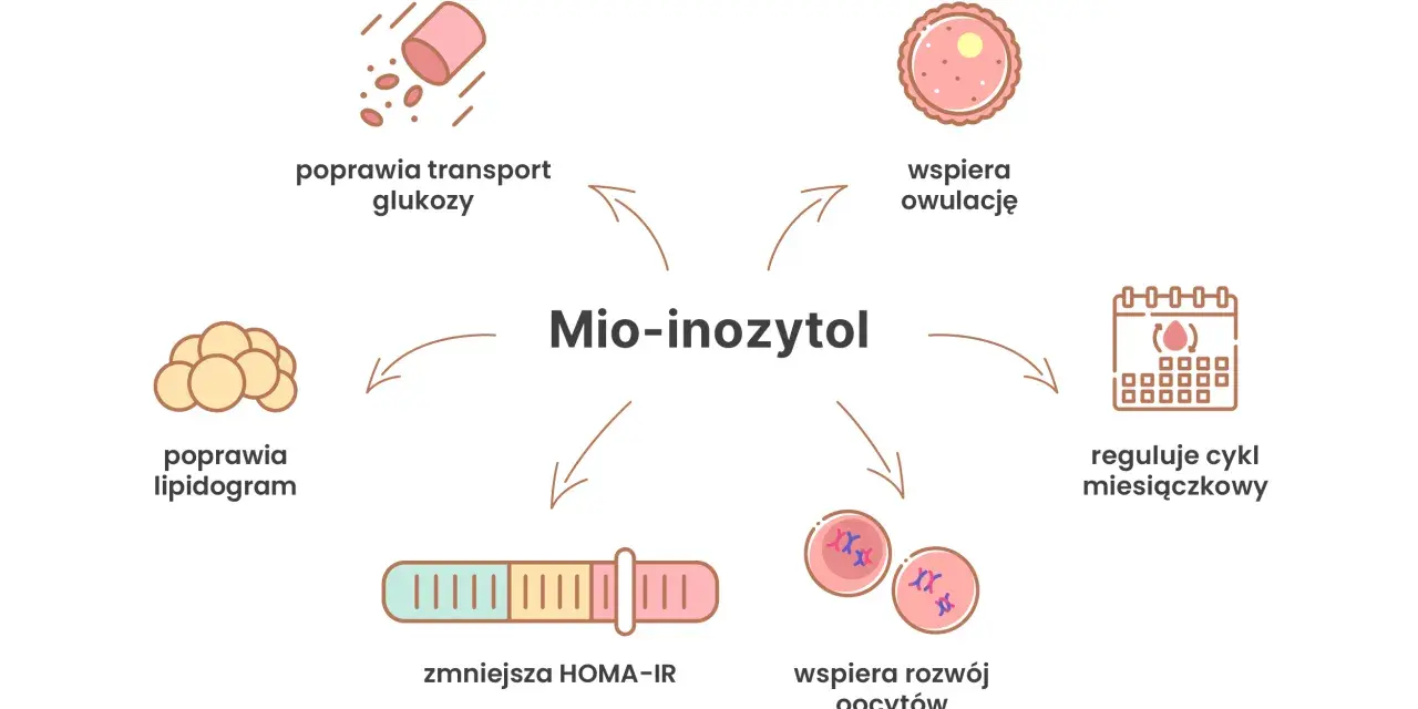 Mio-inozytol: poprawia transport glukozy, lipidogram, zmniejsza HOMA-IR, wspiera rozwój oocytów, owulację i reguluje cykl. Przeciwwskazania są rzadkie.
