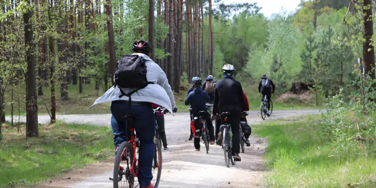 Grupa rowerzystów jedzie leśną ścieżką wśród drzew.