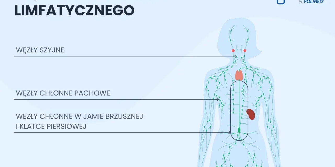 Schemat układu limfatycznego z zaznaczonymi węzłami chłonnymi w pachwinie, pachach, szyi i jamie brzusznej.