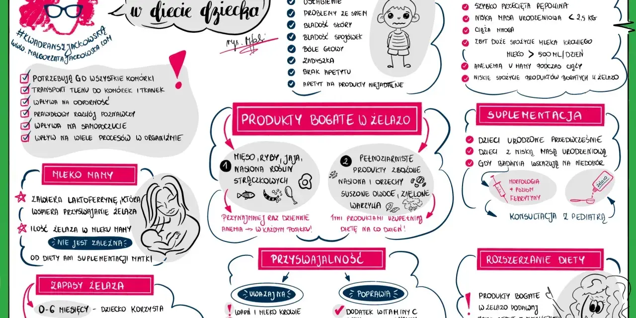 Żelazo w diecie dziecka: objawy niedoboru, produkty bogate w żelazo, suplementacja i czynniki ryzyka. Warto pamiętać o roli **garbników** w przyswajaniu żelaza.