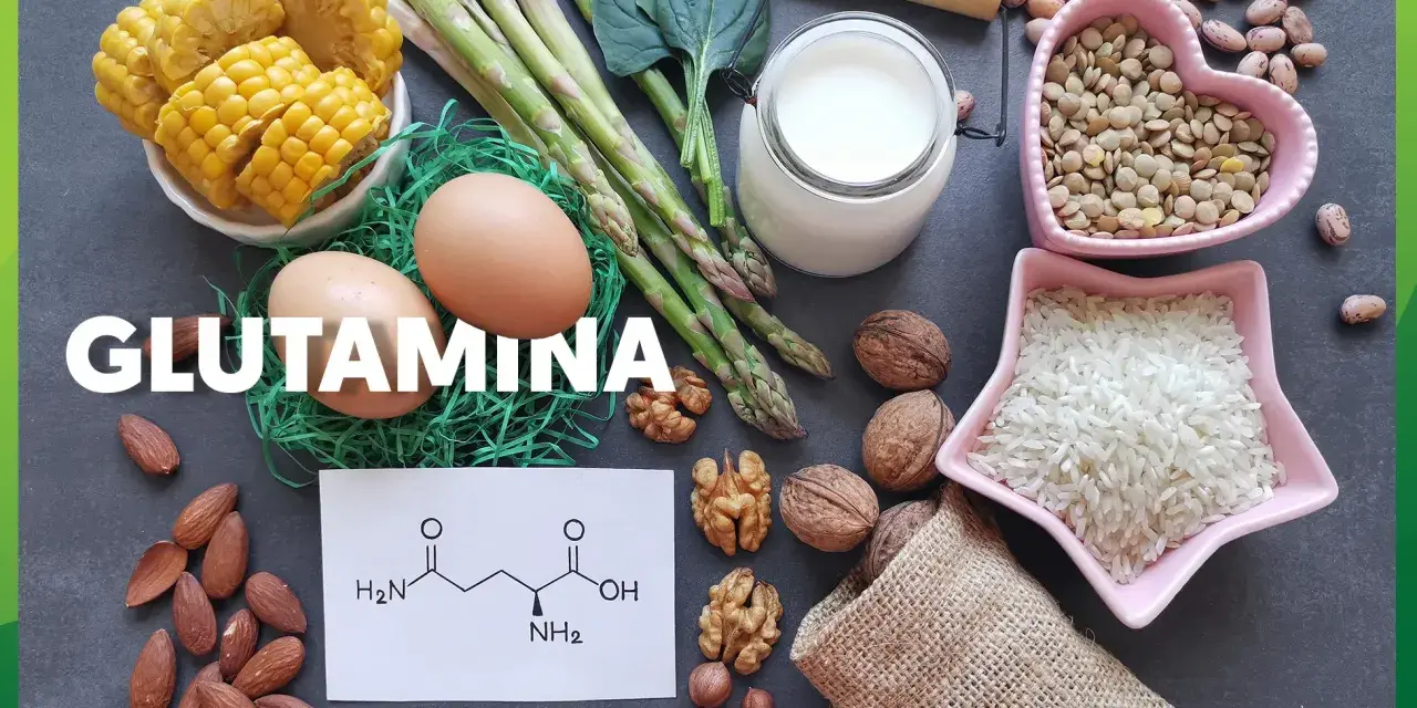 Glutamina co to? Obraz przedstawia produkty bogate w glutaminę: jajka, szparagi, mleko, orzechy, migdały, soczewicę, ryż, kukurydzę i fasolę.