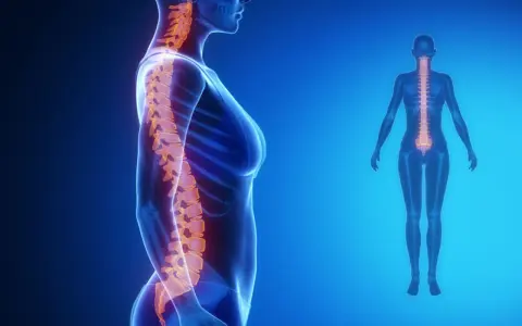 Anatomia kręgosłupa z widoczną lordozą lędźwiową spłyconą.