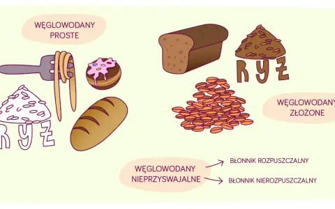 Ilustracja pokazuje węglowodany proste (makaron, ciastko) i złożone (chleb, ryż). Wskazuje też na błonnik nierozpuszczalny.