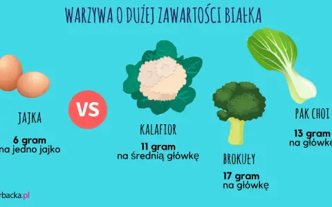 Jajka, kalafior, brokuły i pak choi to produkty, co ma duzo białka. Sprawdź, ile gramów białka dostarcza każde z nich.