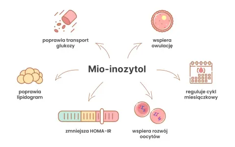 Mio-inozytol: poprawia transport glukozy, lipidogram, zmniejsza HOMA-IR, wspiera rozwój oocytów, owulację i reguluje cykl. Przeciwwskazania są rzadkie.