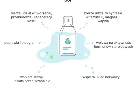 Bor suplement: wspiera kości, stawy, układ nerwowy, poprawia lipidogram, wpływa na hormony i syntezę witamin.