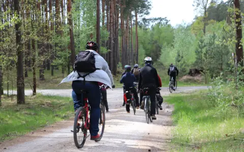 Grupa rowerzystów jedzie leśną ścieżką wśród drzew.