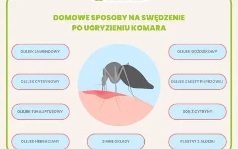Komar gryzie, powodując swędzenie. Grafika pokazuje domowe sposoby na uczulenie na komary: olejki, sok z cytryny, zimne okłady i plastry z aloesu.