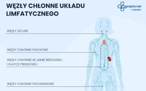 Schemat układu limfatycznego z zaznaczonymi węzłami chłonnymi w pachwinie, pachach, szyi i jamie brzusznej.