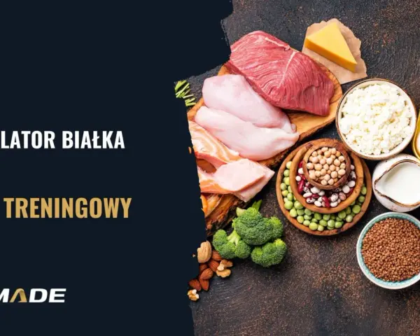 Kalkulator białka i plan treningowy. Różnorodne źródła białka: mięso, ryby, jajka, nabiał, rośliny strączkowe, płatki owsiane, ryż, kasza.