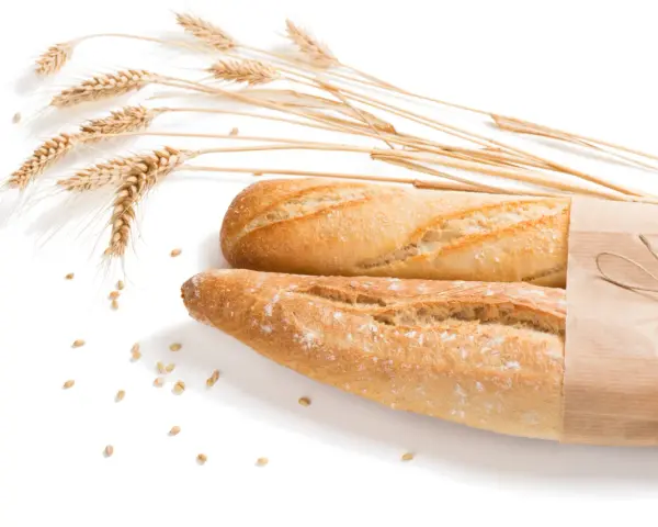 Dwa świeże bagietki, jeden zawinięty w papier, obok kłosów pszenicy i ziaren. Dla osób z alergią na gluten to widok zakazany.