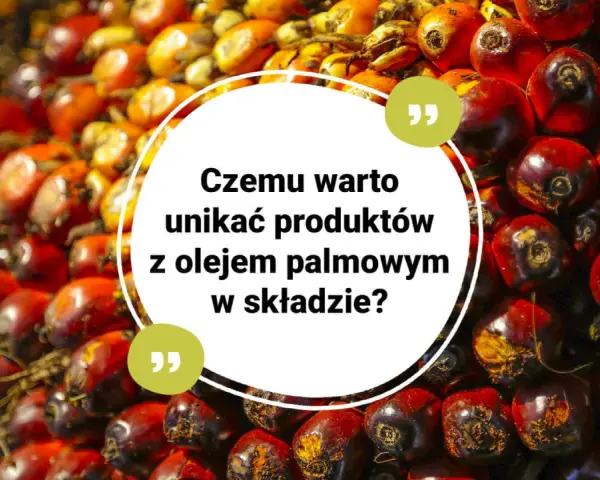 Kwas palmitynowy w oleju palmowym. Dlaczego warto unikać produktów z jego zawartością?
