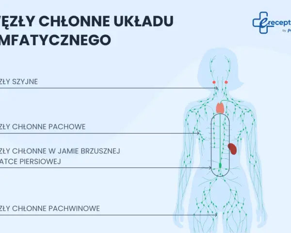 Schemat układu limfatycznego z zaznaczonymi węzłami chłonnymi w pachwinie, pachach, szyi i jamie brzusznej.