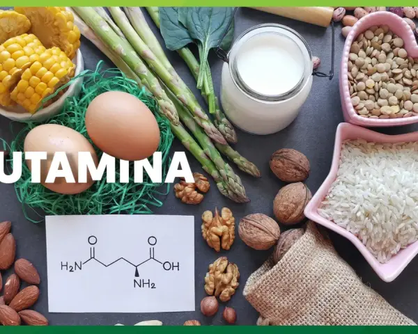 Glutamina co to? Obraz przedstawia produkty bogate w glutaminę: jajka, szparagi, mleko, orzechy, migdały, soczewicę, ryż, kukurydzę i fasolę.