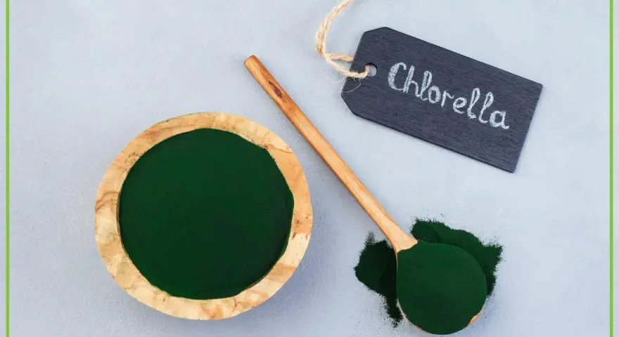 Chlorella w proszku w drewnianej miseczce i na łyżce. Tabliczka z napisem "Chlorella" podpowiada, jak stosować ten zielony proszek.