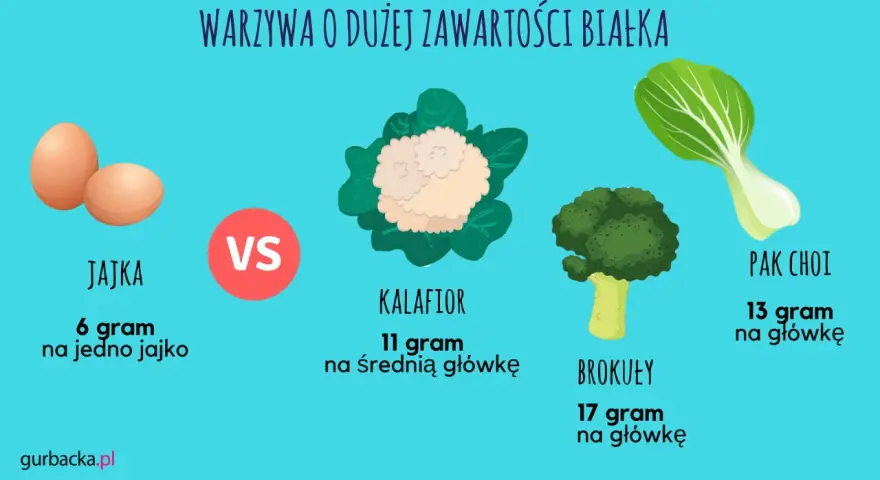 Jajka, kalafior, brokuły i pak choi to produkty, co ma duzo białka. Sprawdź, ile gramów białka dostarcza każde z nich.