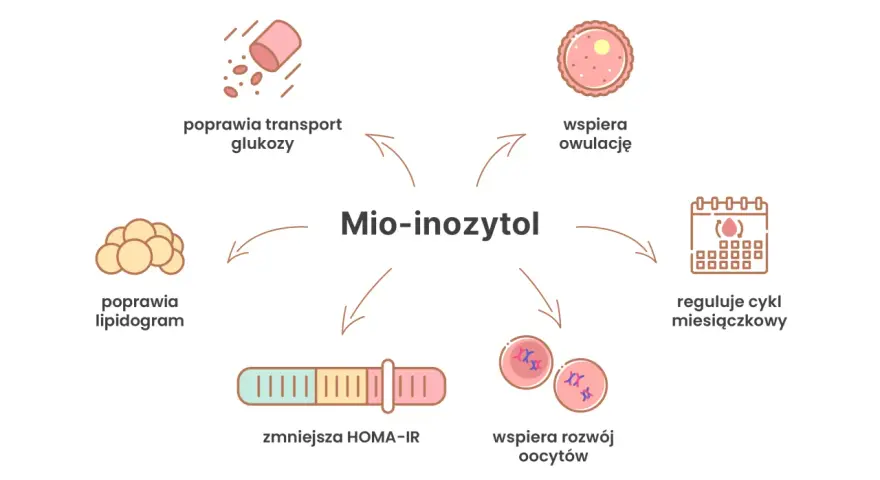 Mio-inozytol: poprawia transport glukozy, lipidogram, zmniejsza HOMA-IR, wspiera rozwój oocytów, owulację i reguluje cykl. Przeciwwskazania są rzadkie.