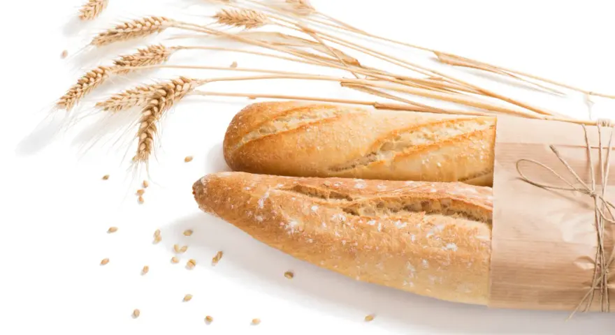 Dwa świeże bagietki, jeden zawinięty w papier, obok kłosów pszenicy i ziaren. Dla osób z alergią na gluten to widok zakazany.