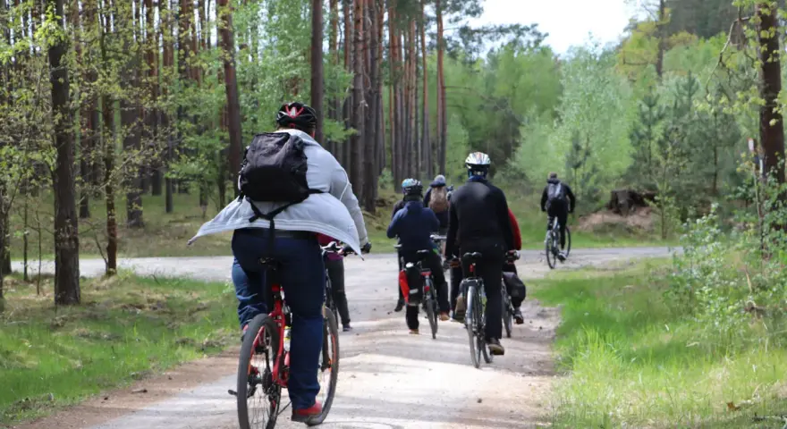Grupa rowerzystów jedzie leśną ścieżką wśród drzew.