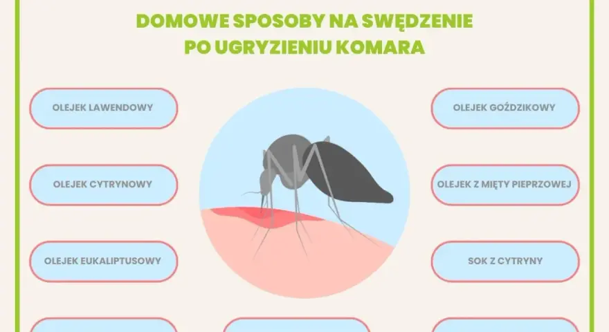 Komar gryzie, powodując swędzenie. Grafika pokazuje domowe sposoby na uczulenie na komary: olejki, sok z cytryny, zimne okłady i plastry z aloesu.