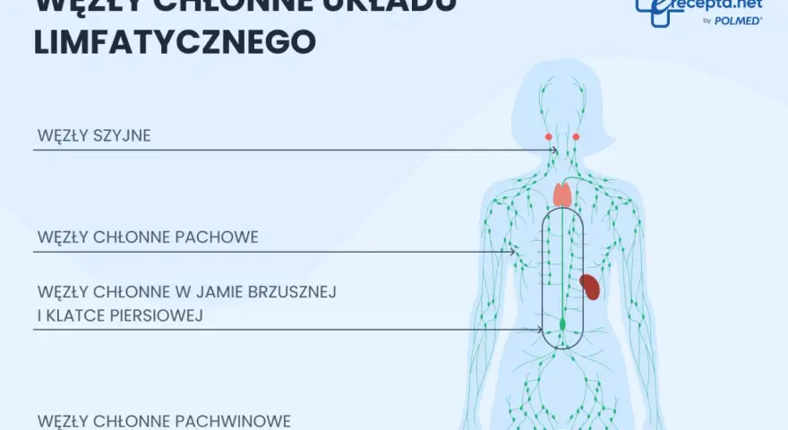 Schemat układu limfatycznego z zaznaczonymi węzłami chłonnymi w pachwinie, pachach, szyi i jamie brzusznej.