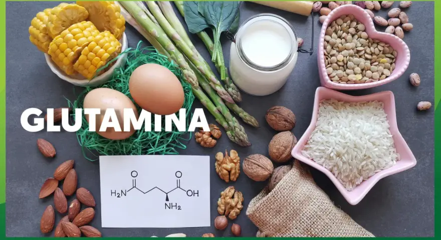 Glutamina co to? Obraz przedstawia produkty bogate w glutaminę: jajka, szparagi, mleko, orzechy, migdały, soczewicę, ryż, kukurydzę i fasolę.