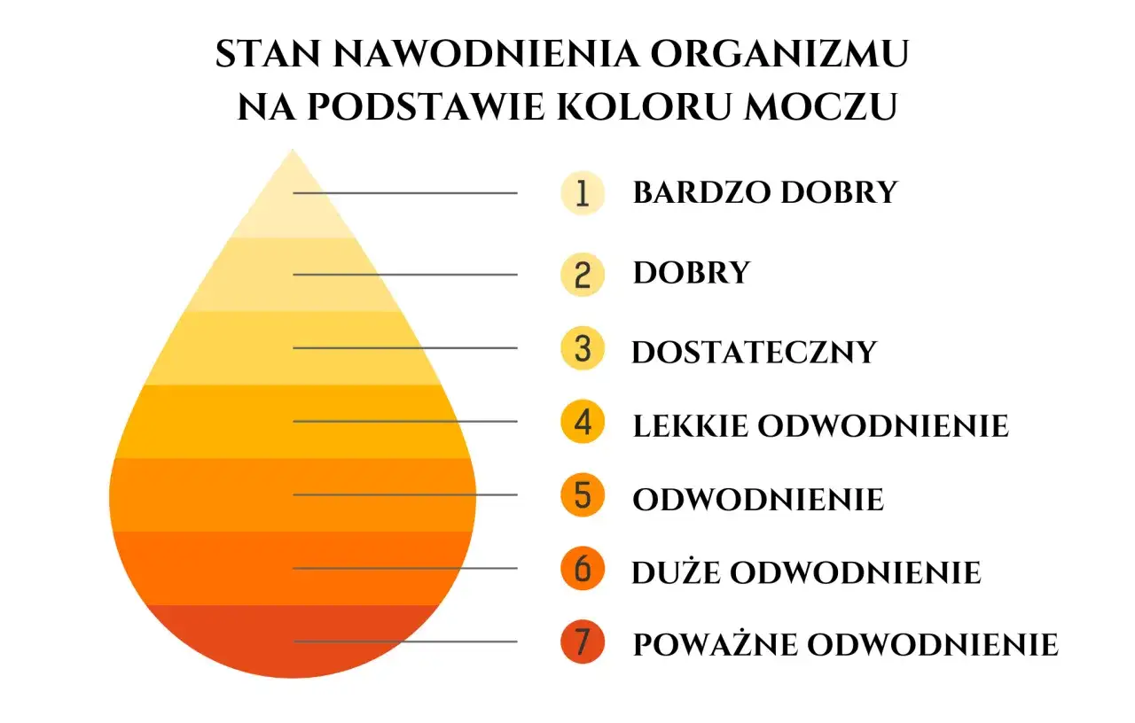 Skala nawodnienia organizmu na podstawie koloru moczu. Jasny kolor oznacza, że pijesz wystarczająco wody. Ciemny kolor wskazuje na odwodnienie.