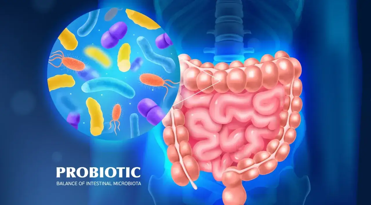 Kolorowe bakterie w powiększeniu, symbolizujące probiotyk, wspierają zdrowie jelit. Prebiotyk a probiotyk - klucz do równowagi mikrobioty.