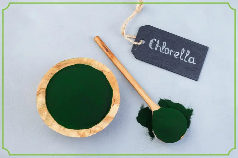 Chlorella w proszku w drewnianej miseczce i na łyżce. Tabliczka z napisem "Chlorella" podpowiada, jak stosować ten zielony proszek.